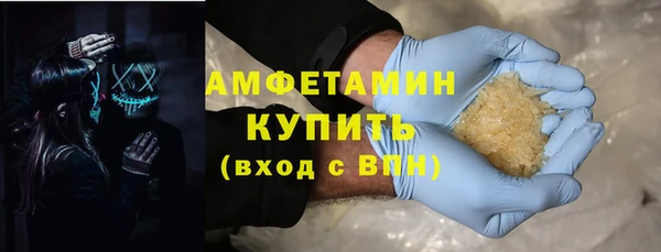 дживик Пересвет