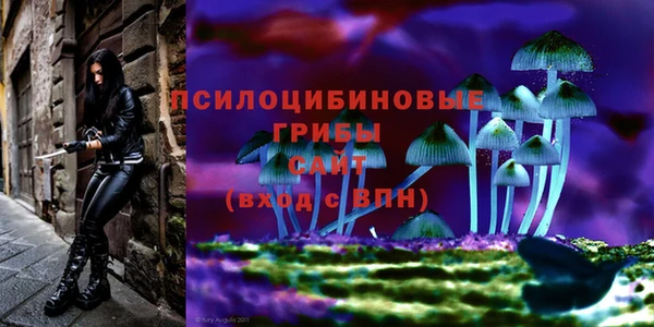 MDMA Premium VHQ Аркадак
