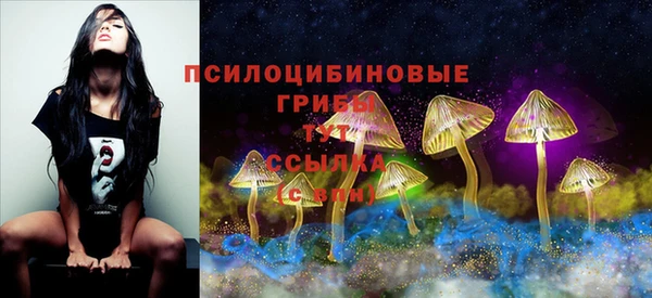MDMA Premium VHQ Аркадак