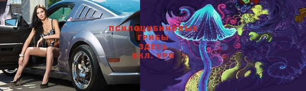 a pvp Переславль-Залесский